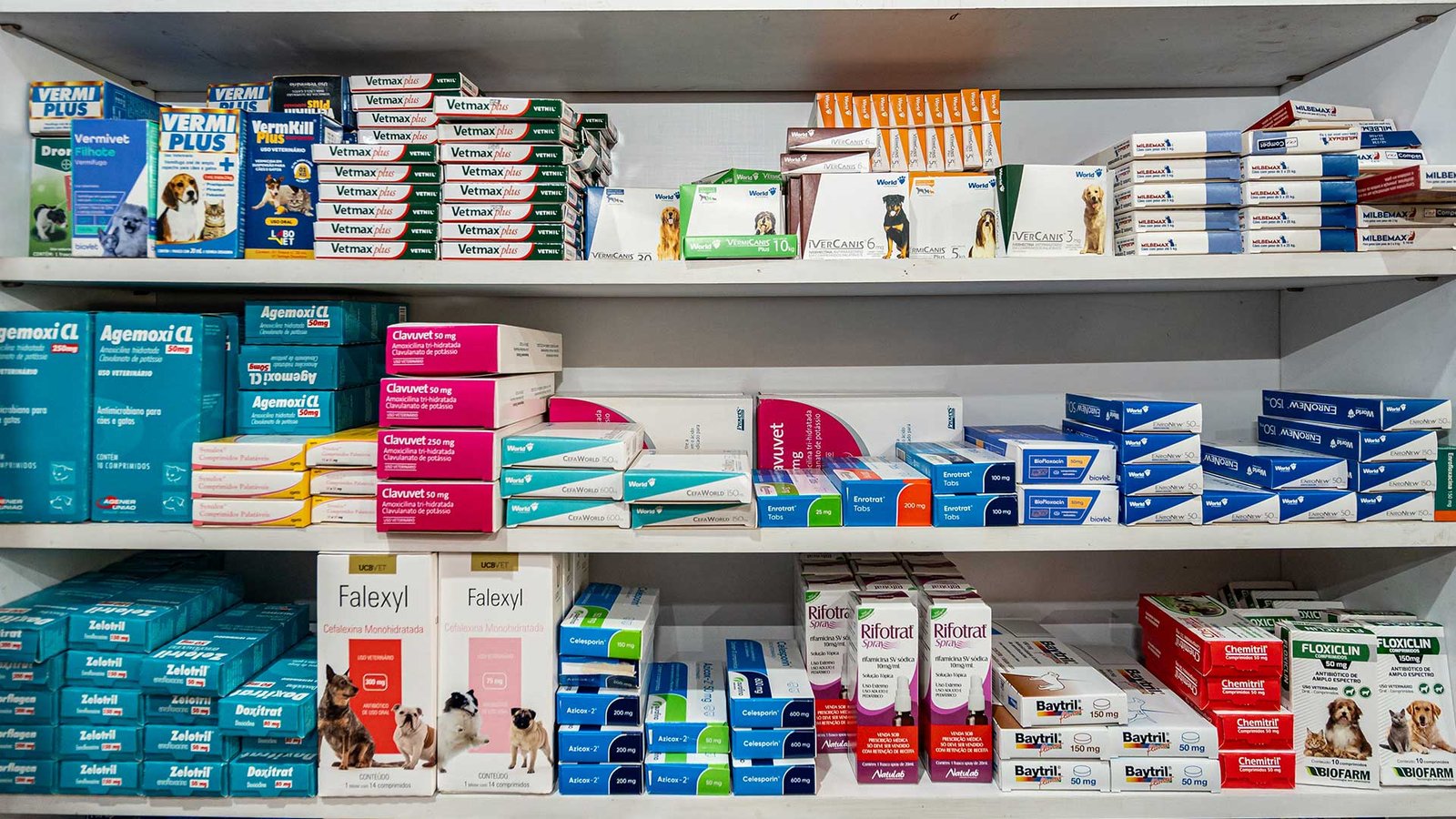 Medicamentos e vitaminas para pets em Presidente Prudente
